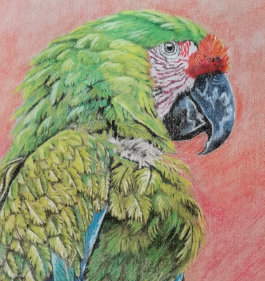Detalle30