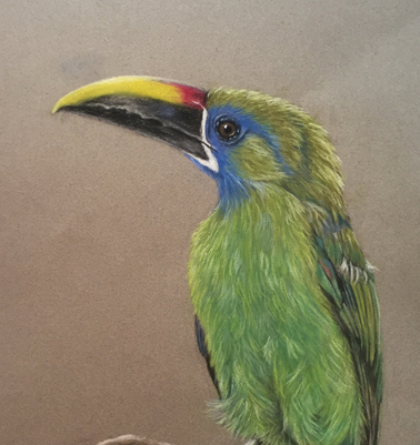 Detalle46