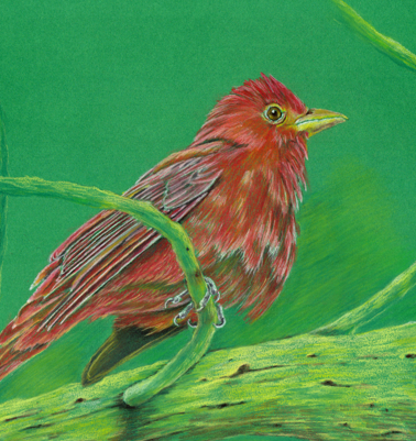 Detalle48