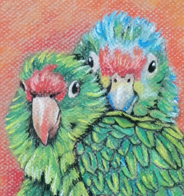 Detalle49